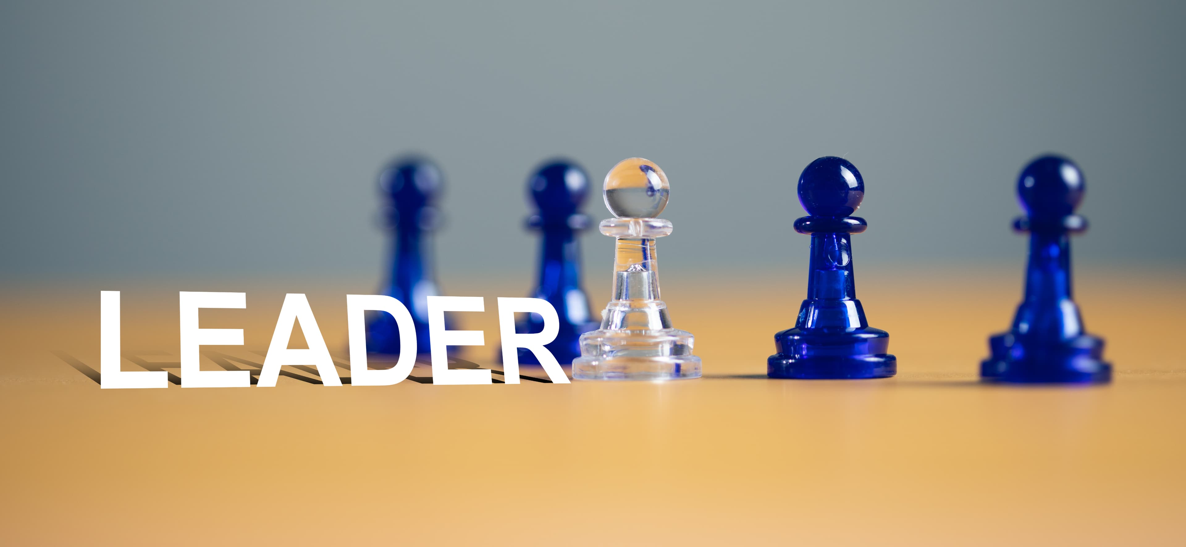 Professional stepping into a leadership role